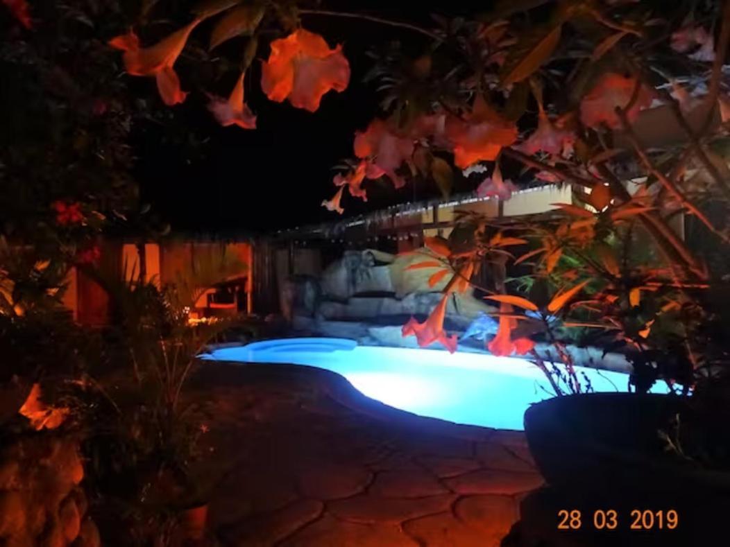 Casa Caribbean Coconut Hotel Cahuita Eksteriør billede