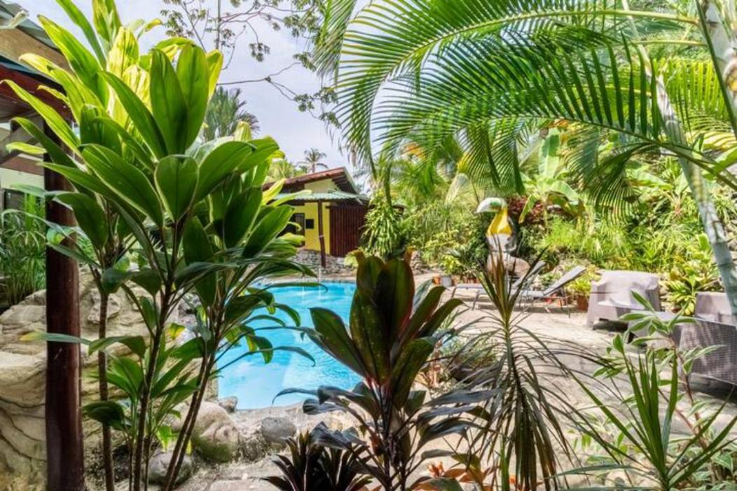 Casa Caribbean Coconut Hotel Cahuita Eksteriør billede
