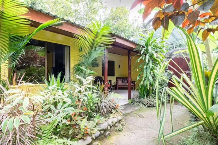 Casa Caribbean Coconut Hotel Cahuita Eksteriør billede