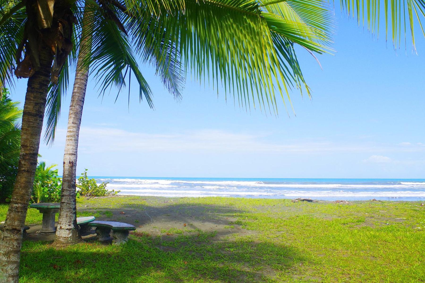 Casa Caribbean Coconut Hotel Cahuita Eksteriør billede