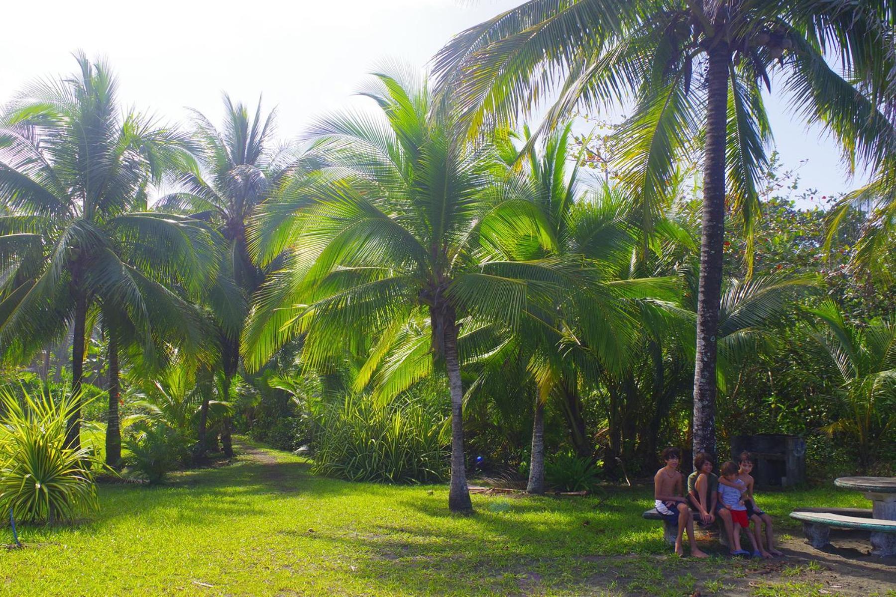 Casa Caribbean Coconut Hotel Cahuita Eksteriør billede